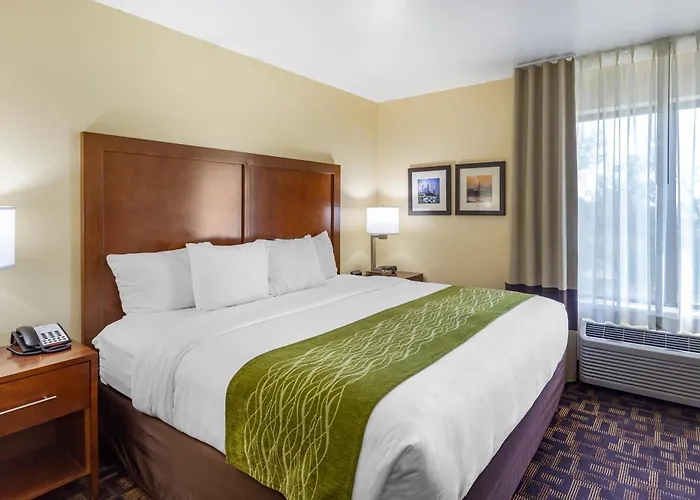 Comfort & North - Naperville Hotel 4*