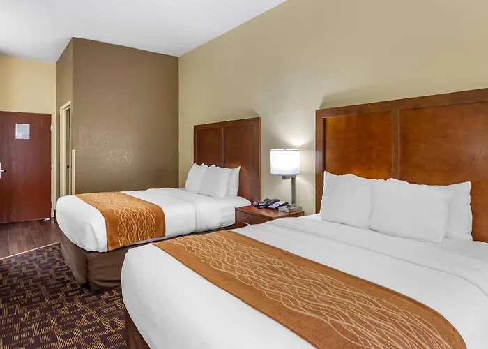 Comfort & North - Naperville Hotel 4*