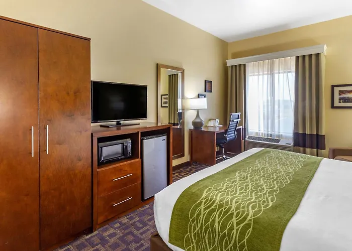 Hotel Comfort & North - Naperville 4*