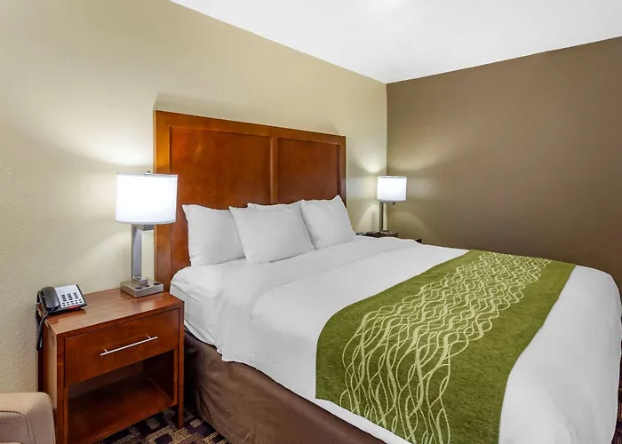 Comfort & North - Naperville Hotel Aurora
