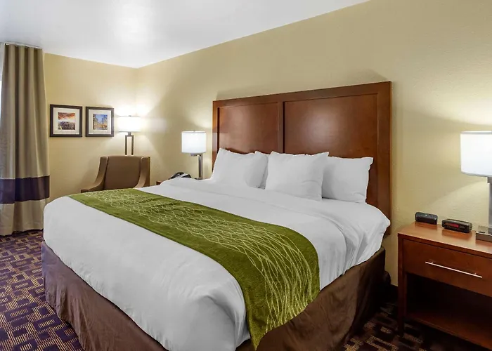 Comfort & North - Naperville Hotel