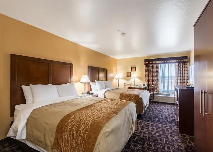 Hotel Comfort & North - Naperville 4*