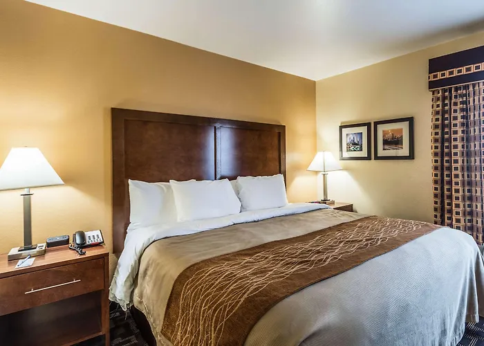 Comfort & North - Naperville Hotel 4*