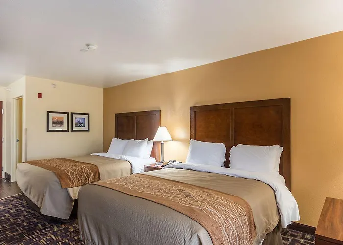 Hotel Comfort & North - Naperville Aurora