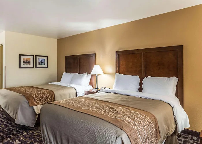 Comfort & North - Naperville 4* Aurora