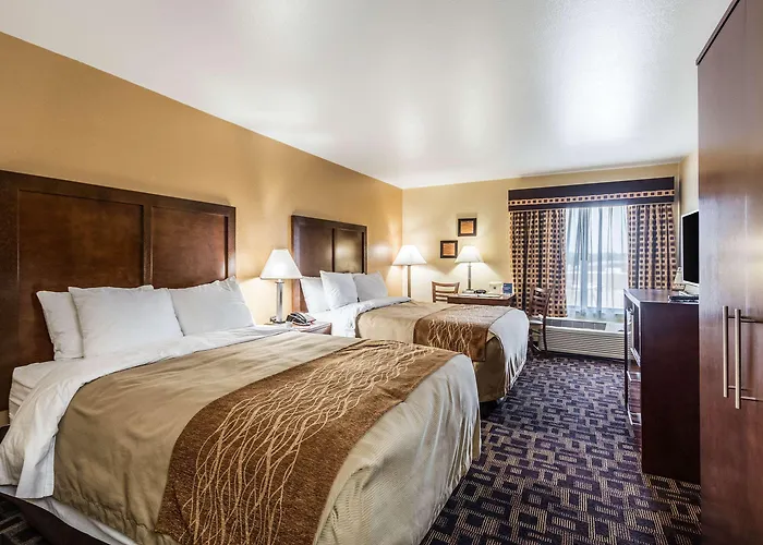 Hotel Comfort & North - Naperville Aurora