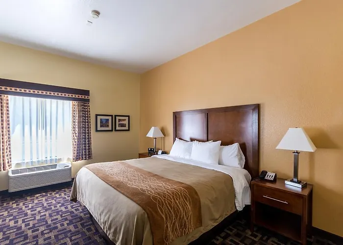 Comfort & North - Naperville