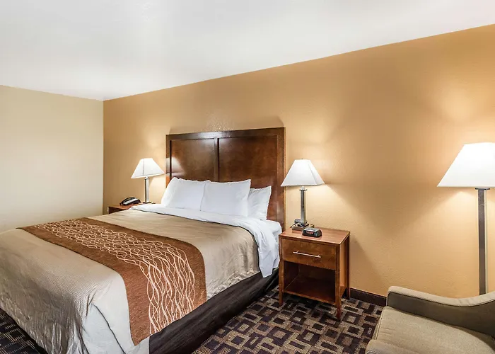 Hotel Comfort & North - Naperville Aurora