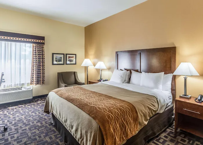 Hotel Comfort & North - Naperville 4*