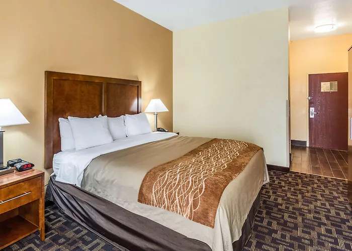 Hotel Comfort & North - Naperville 4*