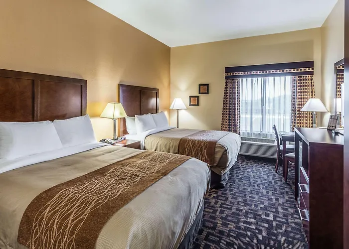 Hotel Comfort & North - Naperville 4*