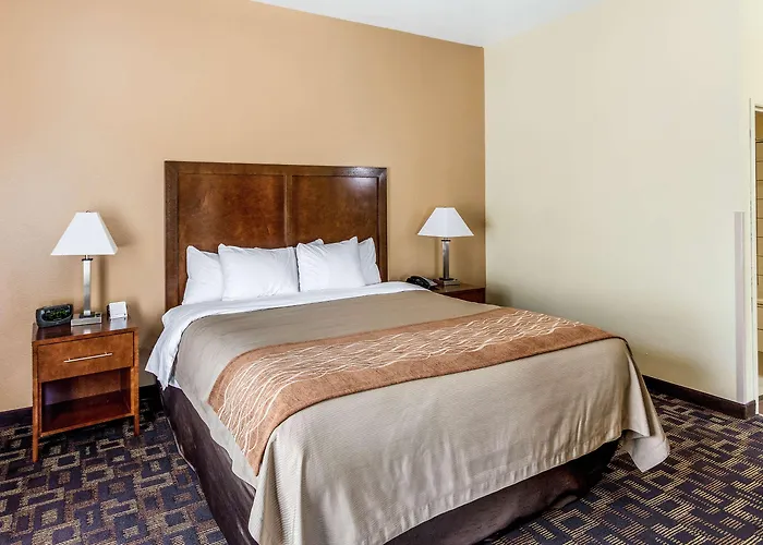 Hotel Comfort & North - Naperville