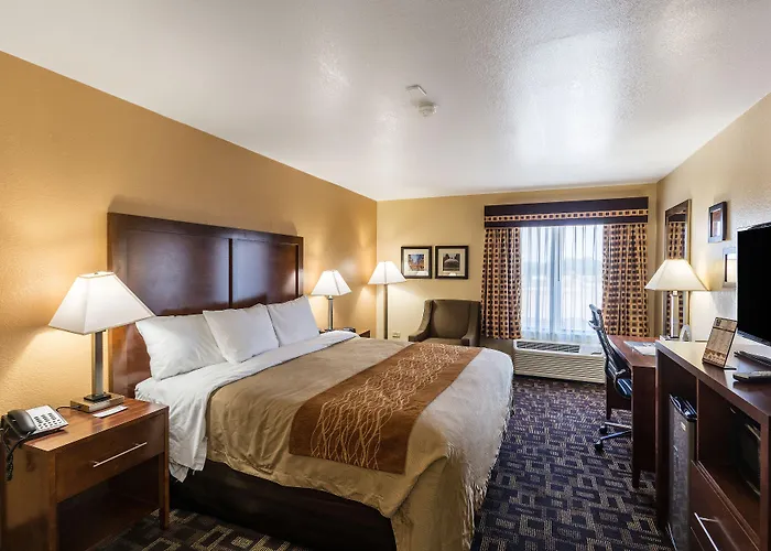 Hotel Comfort & North - Naperville Aurora