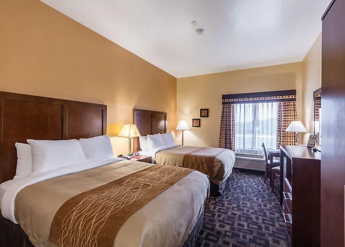 Hotel Comfort & North - Naperville Aurora