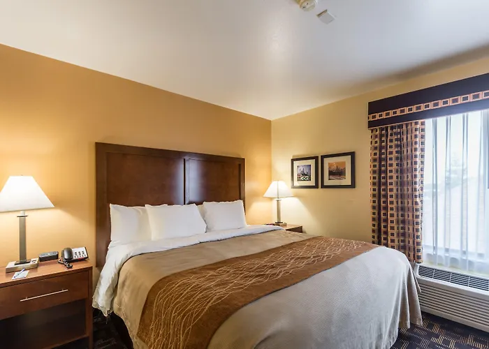 Comfort & North - Naperville Aurora