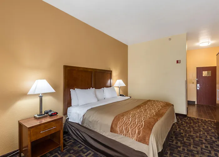 Hotel Comfort & North - Naperville 4*