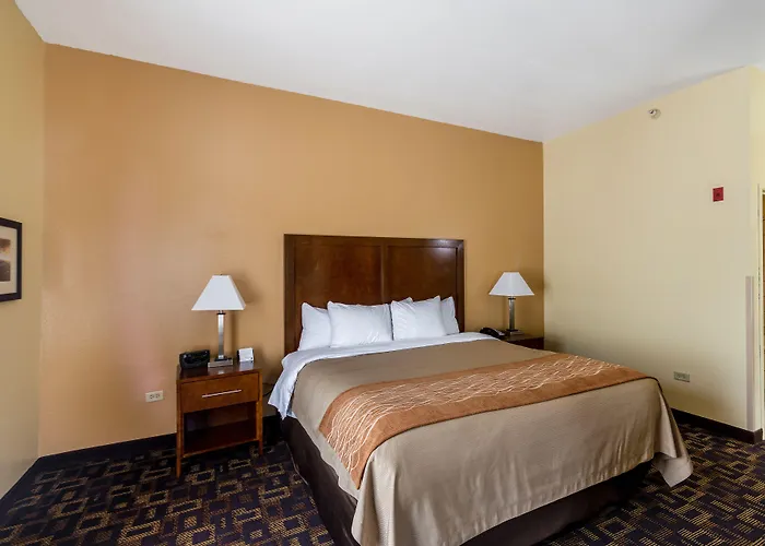 Hotel Comfort & North - Naperville 4*