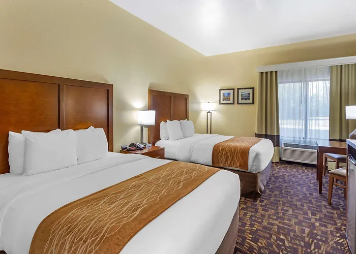 Comfort & North - Naperville Hotel
