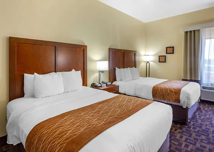 Comfort & North - Naperville Hotel