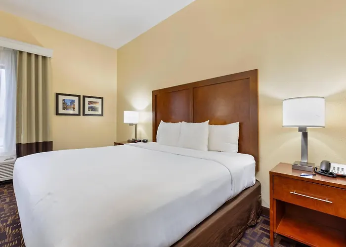 Comfort & North - Naperville Hotel 4*