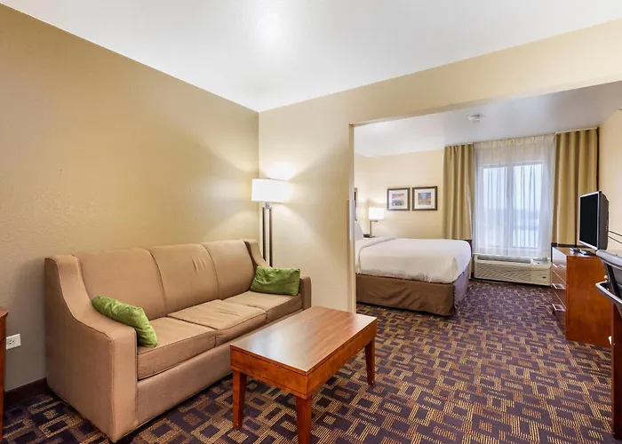 Comfort & North - Naperville Hotel 4*