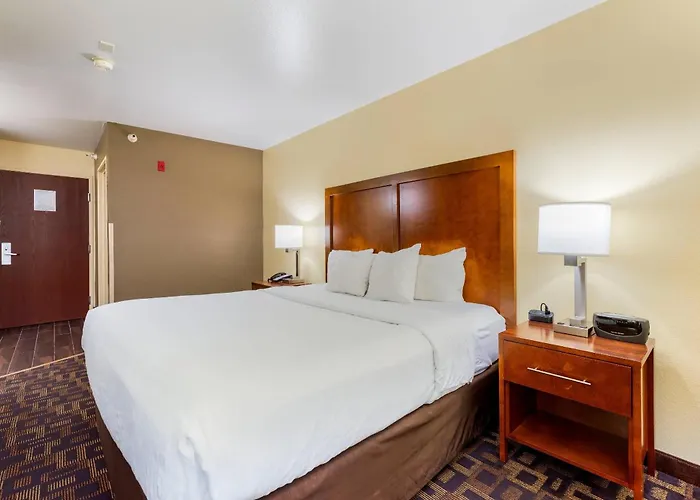 Hotel Comfort & North - Naperville Aurora