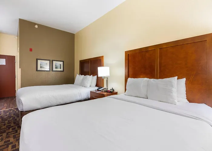 Comfort & North - Naperville Hotel 4*