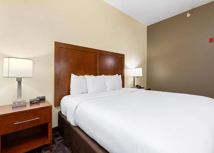 Hotel Comfort & North - Naperville