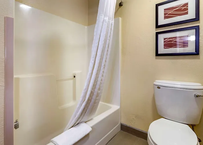 Hotel Comfort & North - Naperville
